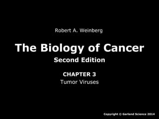 Robert A. Weinberg

The Biology of Cancer
Second Edition
CHAPTER 3
Tumor Viruses

Copyright © Garland Science 2014

 