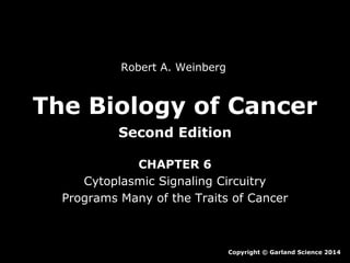Robert A. Weinberg

The Biology of Cancer
Second Edition
CHAPTER 6
Cytoplasmic Signaling Circuitry
Programs Many of the Traits of Cancer

Copyright © Garland Science 2014

 