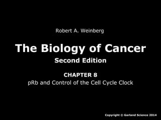 Robert A. Weinberg

The Biology of Cancer
Second Edition
CHAPTER 8
pRb and Control of the Cell Cycle Clock

Copyright © Garland Science 2014

 