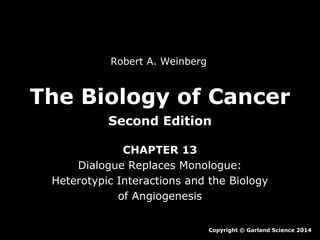 Robert A. Weinberg

The Biology of Cancer
Second Edition
CHAPTER 13
Dialogue Replaces Monologue:
Heterotypic Interactions and the Biology
of Angiogenesis
Copyright © Garland Science 2014

 