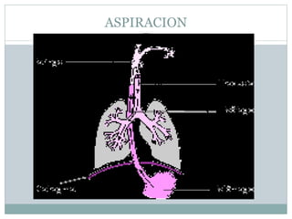 ASPIRACION
 