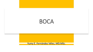 BOCA
Yumy E. Fernández Vélez, MD.MSc.
 