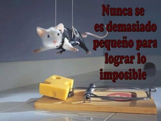 Nunca se es demasiado pequeño para lograr lo  imposible 
