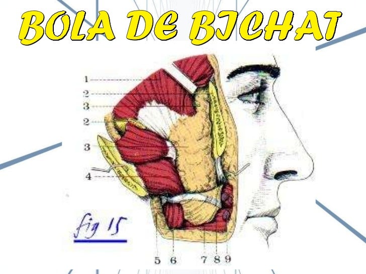 Boca[1]