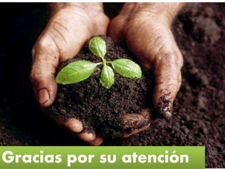 Gracias por su atención
 