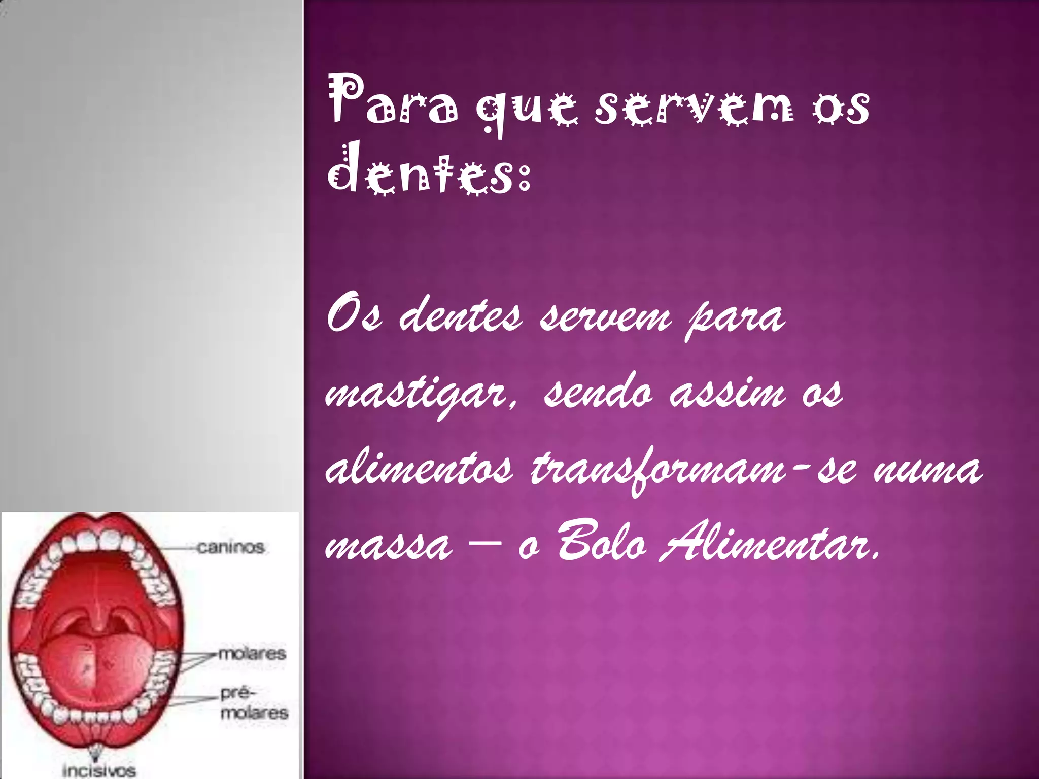 Para que servem os
dentes:
Os dentes servem para
mastigar, sendo assim os
alimentos transformam-se numa
massa – o Bolo Alimentar.