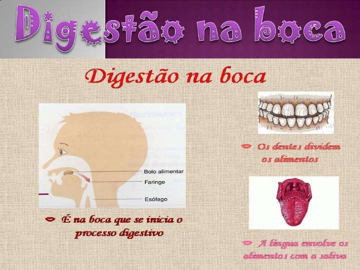 Antigo Nome Do Sistema Do Corpo Que Começa Na Boca