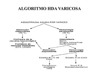 ALGORITMO HDA VARICOSA
 