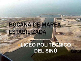 BOCANA DE MAREA
ESTABILIZADA

  LICEOPOLITÉCNICO
       DEL SINÚ
 
