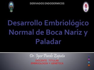 Dr. Igor Pardo Zapata
DOCENTE TITULAR
EMBRIOLOGÍA Y GENÉTICA
 