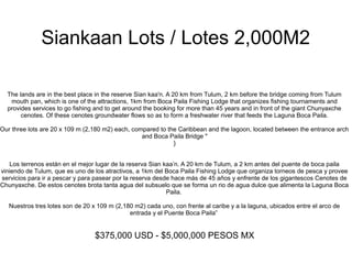 Siankaan Lots / Lotes 2,000M2
The lands are in the best place in the reserve Sian kaa'n. A 20 km from Tulum, 2 km before the bridge coming from Tulum
mouth pan, which is one of the attractions, 1km from Boca Paila Fishing Lodge that organizes fishing tournaments and
provides services to go fishing and to get around the booking for more than 45 years and in front of the giant Chunyaxche
cenotes. Of these cenotes groundwater flows so as to form a freshwater river that feeds the Laguna Boca Paila.
Our three lots are 20 x 109 m (2,180 m2) each, compared to the Caribbean and the lagoon, located between the entrance arch
and Boca Paila Bridge "
}
Los terrenos están en el mejor lugar de la reserva Sian kaa’n. A 20 km de Tulum, a 2 km antes del puente de boca paila
viniendo de Tulum, que es uno de los atractivos, a 1km del Boca Paila Fishing Lodge que organiza torneos de pesca y provee
servicios para ir a pescar y para pasear por la reserva desde hace más de 45 años y enfrente de los gigantescos Cenotes de
Chunyaxche. De estos cenotes brota tanta agua del subsuelo que se forma un rio de agua dulce que alimenta la Laguna Boca
Paila.
Nuestros tres lotes son de 20 x 109 m (2,180 m2) cada uno, con frente al caribe y a la laguna, ubicados entre el arco de
entrada y el Puente Boca Paila”
$375,000 USD - $5,000,000 PESOS MX
 
