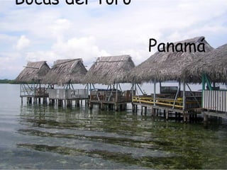 Bocas del Toro  Panamá 