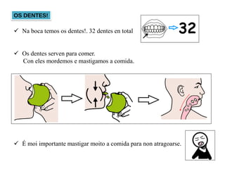 OS DENTES!
 Na boca temos os dentes!. 32 dentes en total
 Os dentes serven para comer.
Con eles mordemos e mastigamos a comida.
 É moi importante mastigar moito a comida para non atragoarse.
 