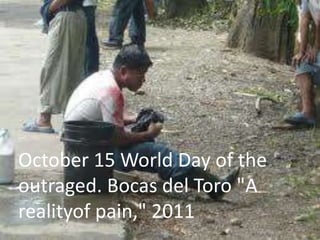 October 15 World Day of the
outraged. Bocas del Toro "A
realityof pain," 2011
 