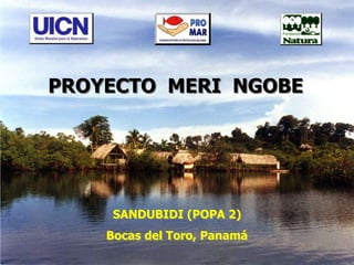 PROYECTO MERI NGOBE
SANDUBIDI (POPA 2)
Bocas del Toro, Panamá
 