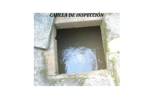 CAJILLA DE INSPECCIÓN
 