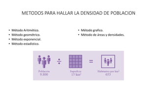 METODOS PARA HALLAR LA DENSIDAD DE POBLACION
• Método Aritmético.
• Método geométrico.
• Método exponencial.
• Método estadístico.
• Método grafico.
• Método de áreas y densidades.
 