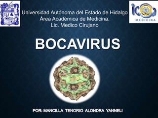 BOCAVIRUS
Universidad Autónoma del Estado de Hidalgo
Área Académica de Medicina.
Lic. Medico Cirujano
 