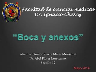 Alumna. Gómez Rivera María Monserrat
Dr. Abel Flores Lorenzano.
Sección 17
Mayo 2014
 