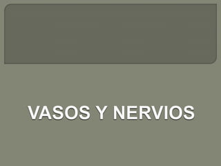Boca y fosas_nasales