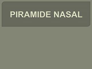 Boca y fosas_nasales