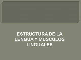 ESTRUCTURA DE LA
LENGUA Y MÚSCULOS
    LINGUALES
 