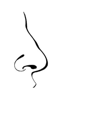 Boca y nariz