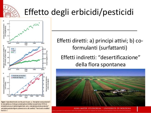 ▷ Il miglior epilatore del ? ⇒ Ecco quale scegliere! Epilatori a luce pulsata Smoothskin: i migliori modelli sul mercato