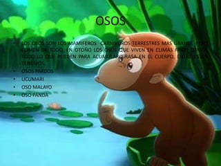 OSOS
• LOS OSOS SON LOS MAMIFEROS CARNIVOROS TERRESTRES MAS GRANES, PERO
COMEN DE TODO, EN OTOÑO LOS OSOS QUE VIVEN EN CLIMAS FRIOS COMEN
TODO LO QUE PUEDEN PARA ACUMULAR GRASA EN EL CUERPO, ENTRE ESTOS
TENEMOS:
• OSOS PARDOS
• UCUMARI
• OSO MALAYO
• OSO PANDA
 