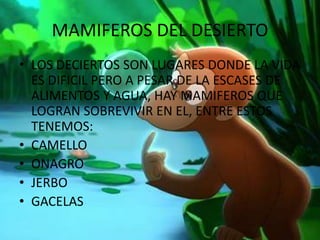 MAMIFEROS DEL DESIERTO
• LOS DECIERTOS SON LUGARES DONDE LA VIDA
ES DIFICIL PERO A PESAR DE LA ESCASES DE
ALIMENTOS Y AGUA, HAY MAMIFEROS QUE
LOGRAN SOBREVIVIR EN EL, ENTRE ESTOS
TENEMOS:
• CAMELLO
• ONAGRO
• JERBO
• GACELAS
 