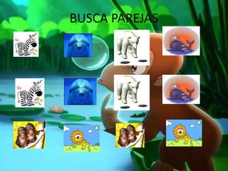 BUSCA PAREJAS
 