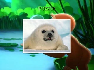 PUZZLE
 