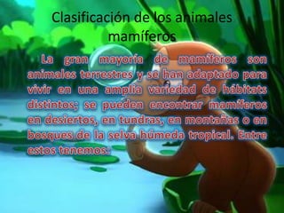 Clasificación de los animales
mamíferos
 