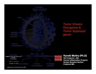 Tumor Viruses
                                     Oncogenes &
                                     Tumor Supressor
                                     genes




Adapted from The Biology of          Karobi Moitra (Ph.D)
          Cancer
       First Edition
                                     NCI Frederick , NIH
                                     Cancer Inflammation Program
     Robert A. Weinberg
                                     Human Genetics Section
      Chapter 3, 4 & 7
                                     Frederick MD.
                                               MD.
  Copyright © Garland Science 2007
 