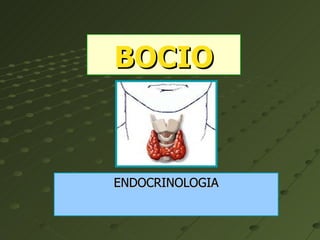 BOCIO ENDOCRINOLOGIA 