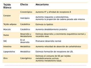 Tejido           Efecto         Mecanismo
Blanco
                 Cronotrópico   Aumenta Nº y afinidad de receptores β
Corazon
                                Aumenta respuesta a catecolaminas.
                 Inotrópico
                                Aumenta la proporción de cadena pesada αde miosina

Tejido adiposo   Catabólico     Estimula la lipólisis

Músculo          Catabólico     Aumenta desdoblamiento proteíco

                 Desarrollo y   Estimula desarrollo y crecimiento esquelético normal y
Hueso
                 Metabolismo    recambio oseo
                 En el
SNC                             Promueve desarrollo normal
                 desarrollo

Intestino        Metabólico     Aumenta velocidad de absorción de carbohidratos

Lipoproteína     Metabólico     Estimula formación de receptores de LDL

                                Estimula el consumo de O2 por tejidos
Otro             Calorigénico   metabólicamente activos.
                                Aumenta metabolismo basal.
 