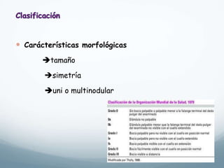  Carácterísticas morfológicas
tamaño
simetría
uni o multinodular
 
