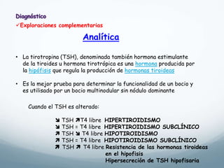 Analítica
Exploraciones complementarias
• La tirotropina (TSH), denominada también hormona estimulante
de la tiroides u hormona tirotrópica es una hormona producida por
la hipófisis que regula la producción de hormonas tiroideas
• Es la mejor prueba para determinar la funcionalidad de un bocio y
es utilisado por un bocio multinodular sin nódulo dominante
Cuando el TSH es alterado:
 TSH T4 libre HIPERTIROIDISMO
 TSH = T4 libre HIPERTIROIDISMO SUBCLÍNICO
 TSH  T4 libre HIPOTIROIDISMO
 TSH = T4 libre HIPOTIROIDISMO SUBCLÍNICO
 TSH  T4 libre Resistencia de las hormonas tiroideas
en el hipofisis
Hipersecreción de TSH hipofisaria
 