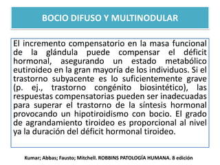 El incremento compensatorio en la masa funcional
de la glándula puede compensar el déficit
hormonal, asegurando un estado metabólico
eutiroideo en la gran mayoría de los individuos. Si el
trastorno subyacente es lo suficientemente grave
(p. ej., trastorno congénito biosintético), las
respuestas compensatorias pueden ser inadecuadas
para superar el trastorno de la síntesis hormonal
provocando un hipotiroidismo con bocio. El grado
de agrandamiento tiroideo es proporcional al nivel
ya la duración del déficit hormonal tiroideo.
BOCIO DIFUSO Y MULTINODULAR
Kumar; Abbas; Fausto; Mitchell. ROBBINS PATOLOGÍA HUMANA. 8 edición
 