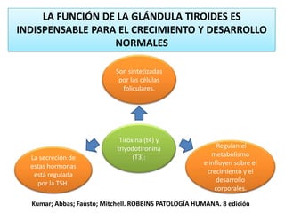 LA FUNCIÓN DE LA GLÁNDULA TIROIDES ES
INDISPENSABLE PARA EL CRECIMIENTO Y DESARROLLO
NORMALES
Tiroxina (t4) y
triyodotironina
(T3):
Son sintetizadas
por las células
foliculares.
Regulan el
metabolismo
e influyen sobre el
crecimiento y el
desarrollo
corporales.
La secreción de
estas hormonas
está regulada
por la TSH.
Kumar; Abbas; Fausto; Mitchell. ROBBINS PATOLOGÍA HUMANA. 8 edición
 