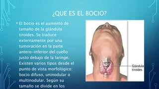 ¿QUE ES EL BOCIO?
• El bocio es el aumento de
tamaño de la glándula
tiroides. Se traduce
externamente por una
tumoración en la parte
antero-inferior del cuello
justo debajo de la laringe.
Existen varios tipos desde el
punto de vista morfológico:
bocio difuso, uninodular o
multinodular. Según su
tamaño se divide en los
 