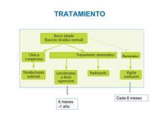 TRATAMIENTO

Asintomático

6 meses
-1 año

Cada 6 meses

 