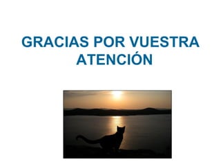GRACIAS POR VUESTRA
ATENCIÓN

 