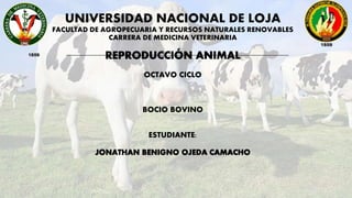 UNIVERSIDAD NACIONAL DE LOJA
FACULTAD DE AGROPECUARIA Y RECURSOS NATURALES RENOVABLES
CARRERA DE MEDICINA VETERINARIA
OCTAVO CICLO
BOCIO BOVINO
ESTUDIANTE:
 