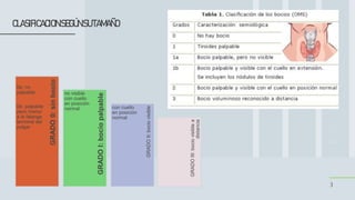3
CLASIFICACIONSEGÚNSUTAMAÑO
GRADO
II:
bocio
visible
GRADO
III:
bocio
visible
a
distancia
GRADO
I:
bocio
palpable
GRADO
0:
sin
bocio
0a: no
palpable
0b: palpable
pero menor
a la falange
terminal del
pulgar
no visible
con cuello
en posición
normal con cuello
en posición
normal
 