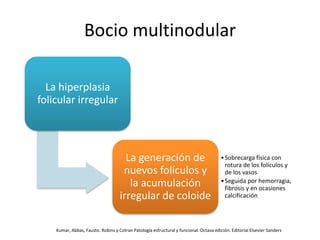 Bocio multinodular
La hiperplasia
folicular irregular
La generación de
nuevos folículos y
la acumulación
irregular de coloide
•Sobrecarga física con
rotura de los folículos y
de los vasos
•Seguida por hemorragia,
fibrosis y en ocasiones
calcificación
Kumar, Abbas, Fausto. Robins y Cotran Patología estructural y funcional. Octava edición. Editorial Elsevier Sanders
 