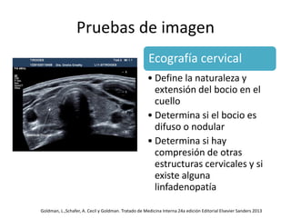 Pruebas de imagen
Ecografía cervical
• Define la naturaleza y
extensión del bocio en el
cuello
• Determina si el bocio es
difuso o nodular
• Determina si hay
compresión de otras
estructuras cervicales y si
existe alguna
linfadenopatía
Goldman, L.,Schafer, A. Cecil y Goldman. Tratado de Medicina Interna 24a edición Editorial Elsevier Sanders 2013
 
