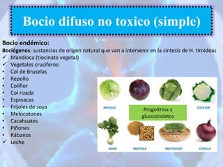 Bocio endémico:
Bociógenos: sustancias de origen natural que van a intervenir en la síntesis de H. tiroideas
 Mandioca (tiocinato vegetal)
 Vegetales crucíferos:
• Col de Bruselas
• Repollo
• Coliflor
• Col rizada
• Espinacas
• Frijoles de soya
• Melocotones
• Cacahuates
• Piñones
• Rábanos
 Leche
Bocio difuso no toxico (simple)
Progoitrina y
glucosinolatos
 
