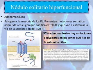 • Adenoma tóxico
• Patogenia: la mayoría de los Pt. Presentan mutaciones somáticas
adquiridas en el gen que codifica el TSH-R y que van a estimular la
vía de la señalización del TSH-R
90% adenoma toxico hay mutaciones
activadoras en los genes TSH-R o de
la subunidad Gsα
Nódulo solitario hiperfuncional
 