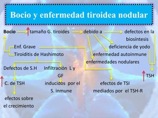 Bocio tamaño G. tiroides debido a defectos en la
biosíntesis
Enf. Grave deficiencia de yodo
Tiroiditis de Hashimoto enfermedad autoinmune
enfermedades nodulares
Defectos de S.H Infiltración L y
GF TSH
C. de TSH inducidos por el efectos de TSI
S. inmune mediados por el TSH-R
efectos sobre
el crecimiento
Bocio y enfermedad tiroidea nodular
 